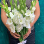 9 белых гладиолусов фото 3